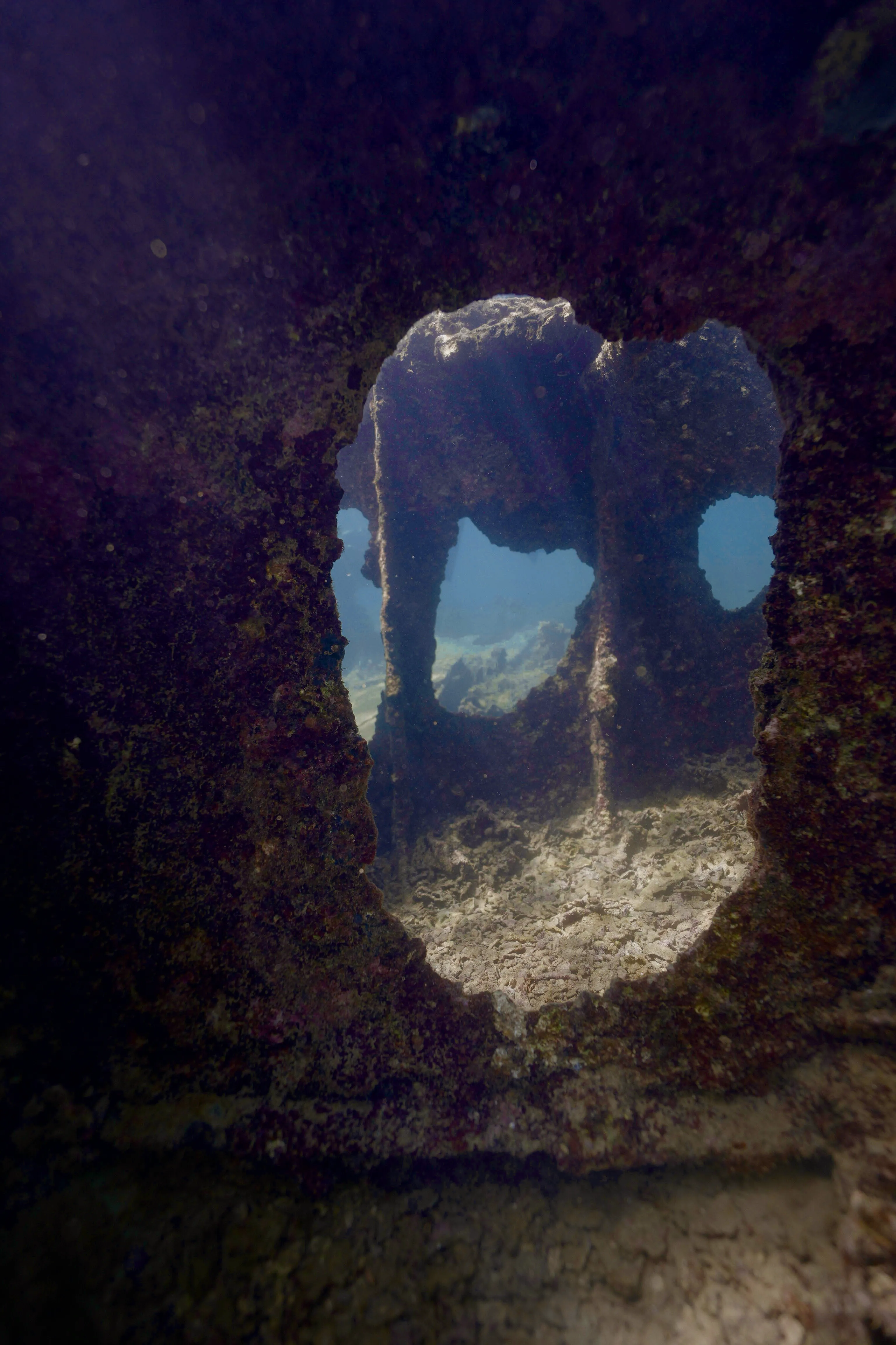 Freediver and coral reef