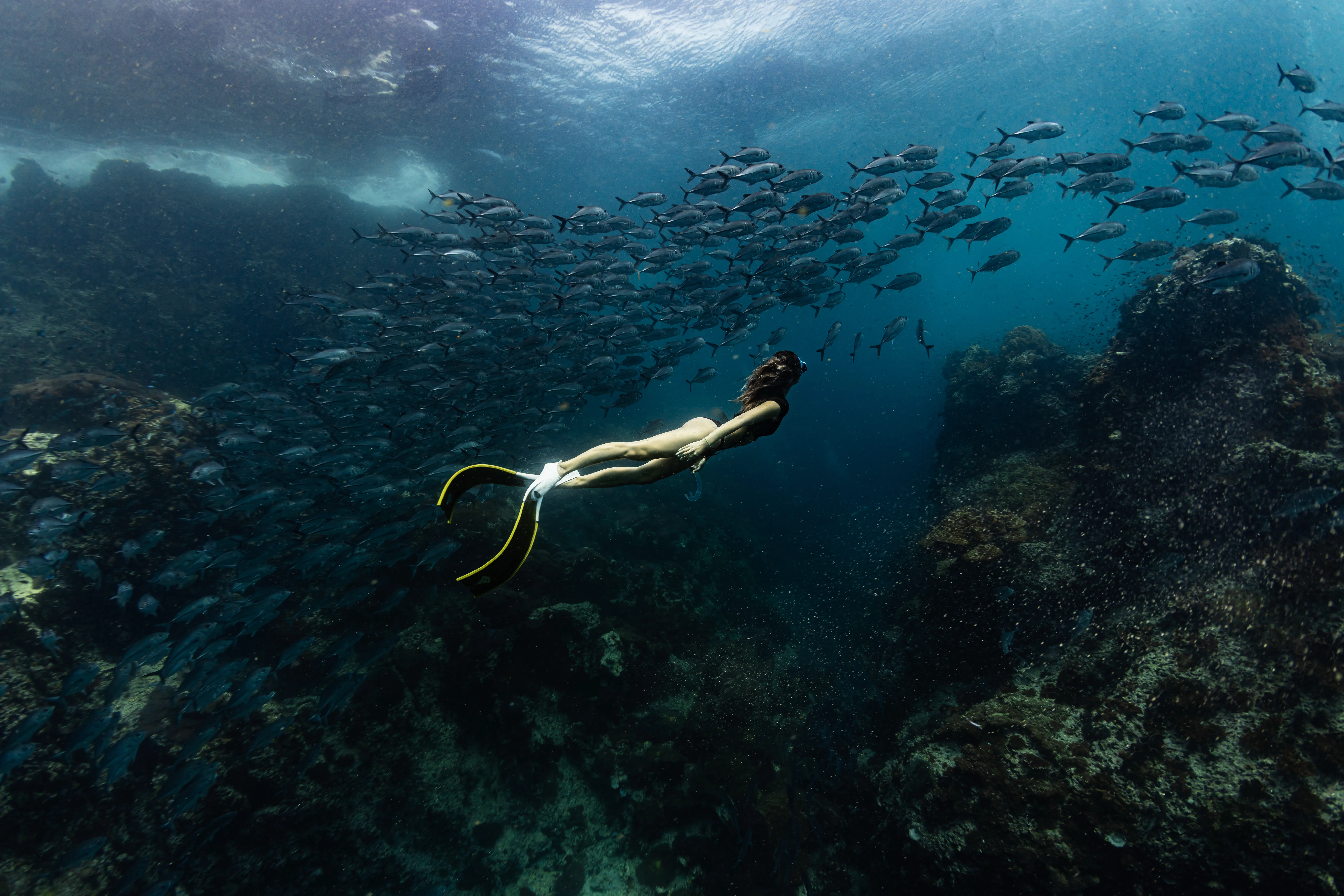 BADA freediving gallery
