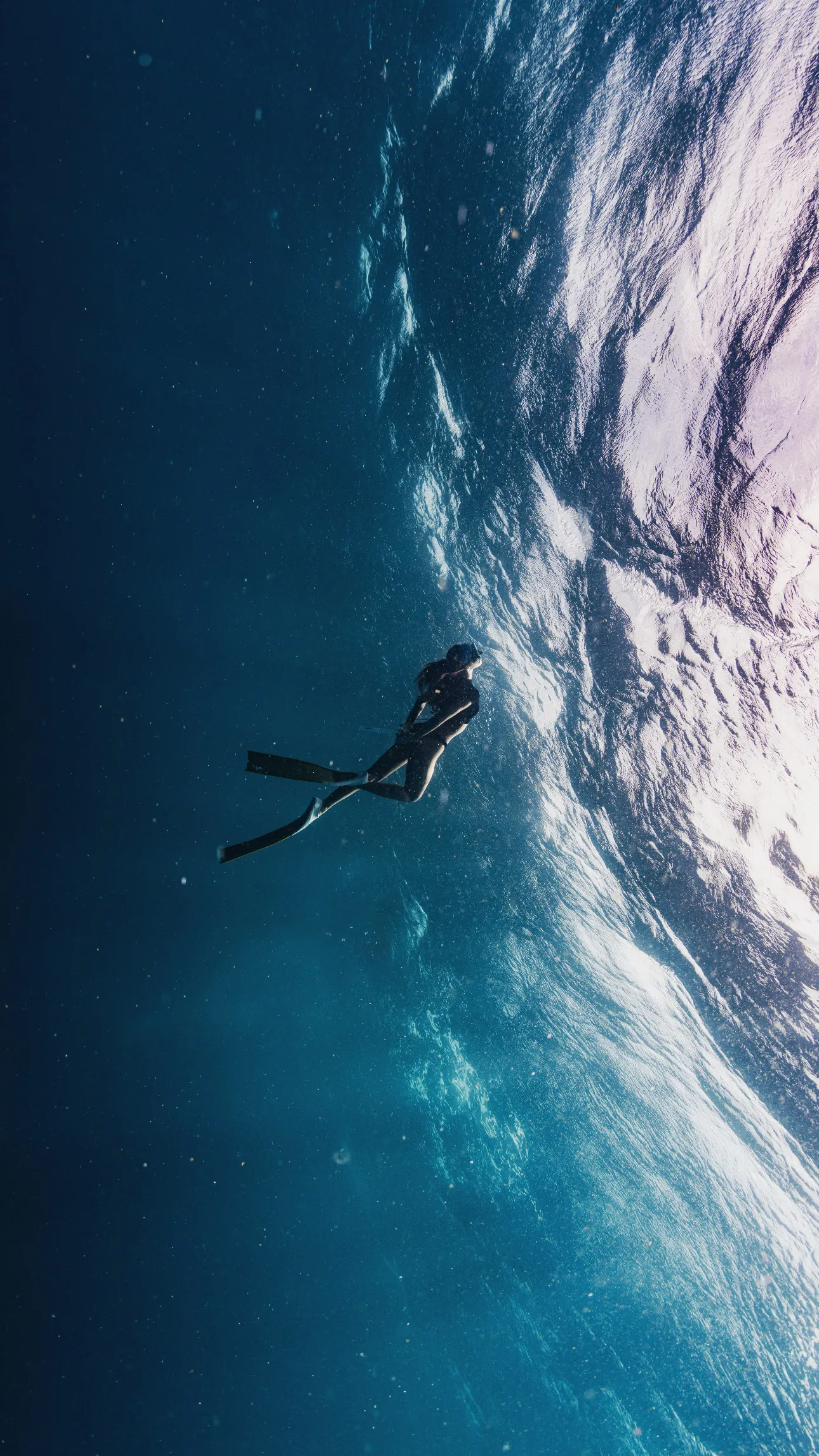 Private freediving tour in the Gulf of Thailand