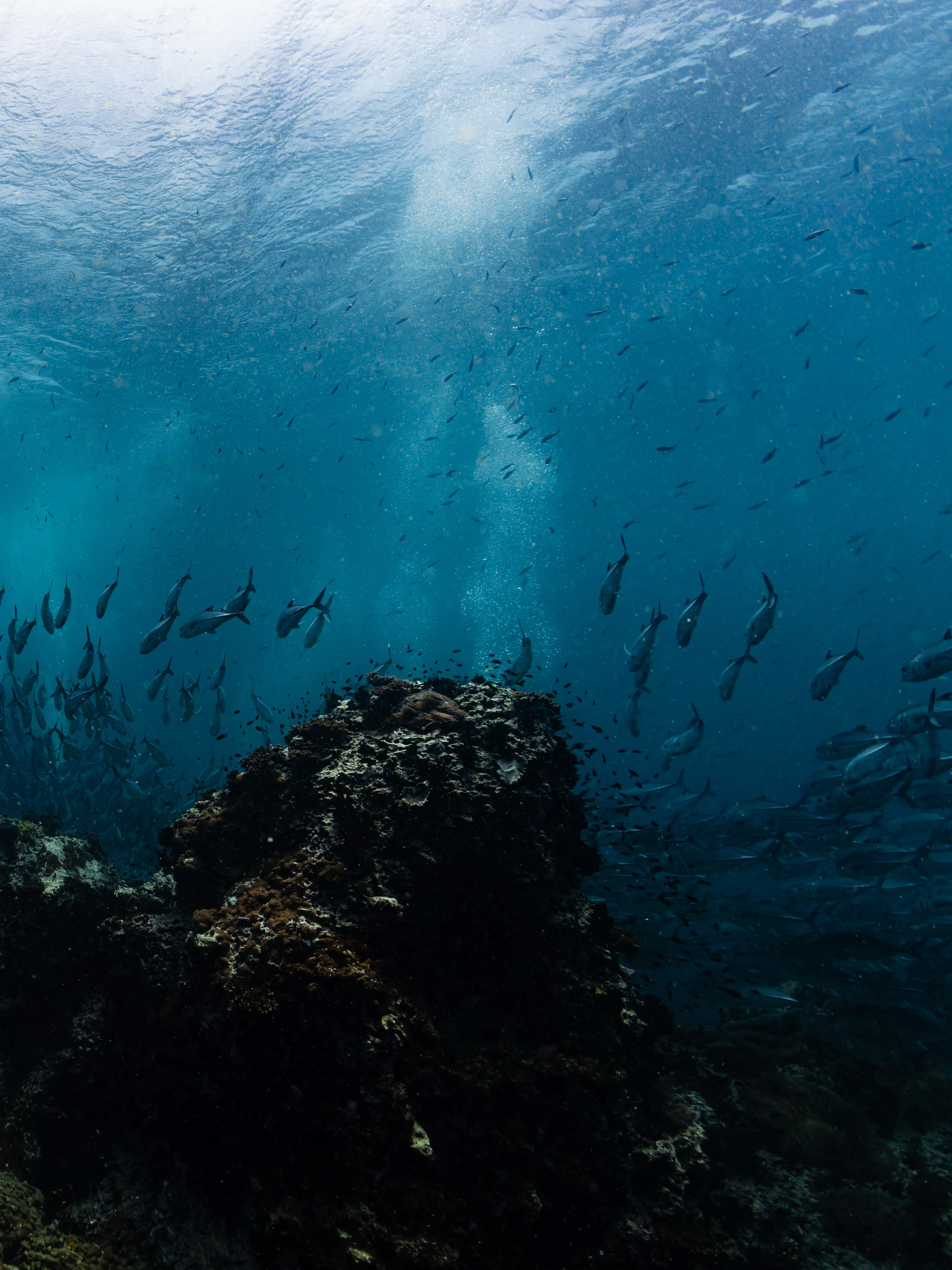 Koh Nang Yuan trip photo